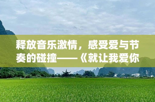 释放音乐激情，感受爱与节奏的碰撞——《就让我爱你DJ版》
