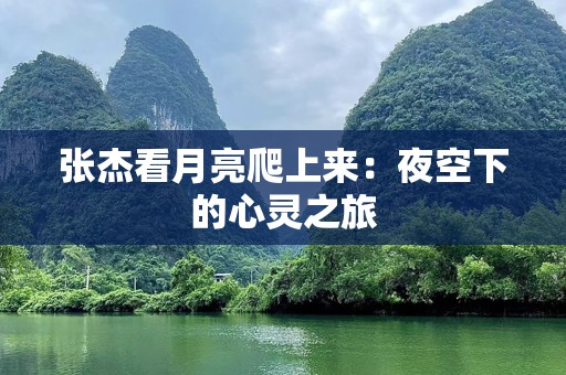 张杰看月亮爬上来：夜空下的心灵之旅