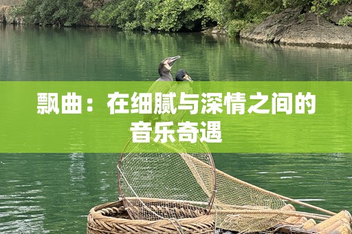 飘曲：在细腻与深情之间的音乐奇遇