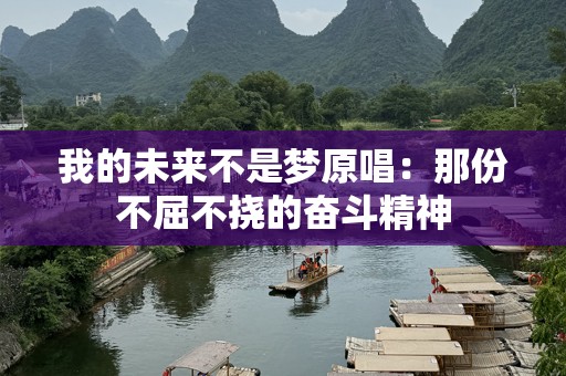 我的未来不是梦原唱：那份不屈不挠的奋斗精神