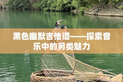 黑色幽默吉他谱——探索音乐中的另类魅力