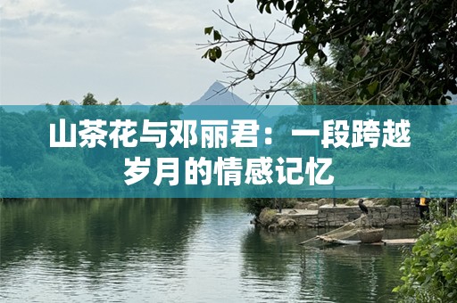 山茶花与邓丽君：一段跨越岁月的情感记忆