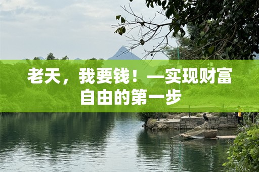 老天，我要钱！—实现财富自由的第一步