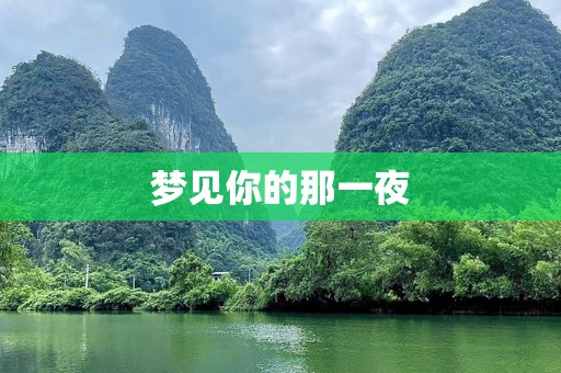 梦见你的那一夜