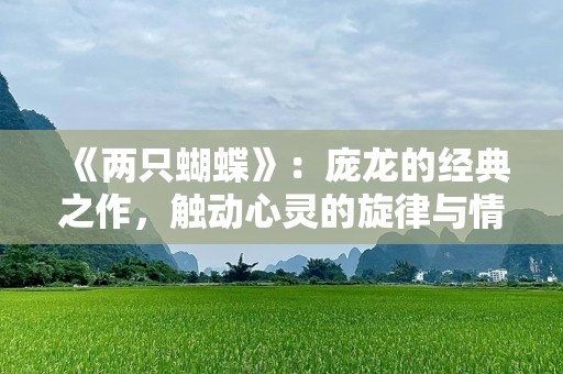 《两只蝴蝶》：庞龙的经典之作，触动心灵的旋律与情感
