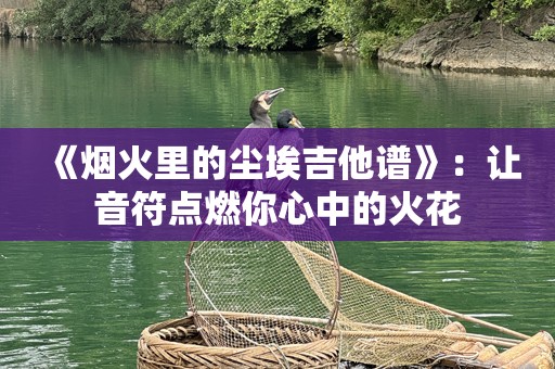 《烟火里的尘埃吉他谱》：让音符点燃你心中的火花