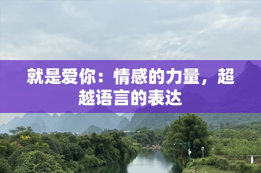 就是爱你：情感的力量，超越语言的表达