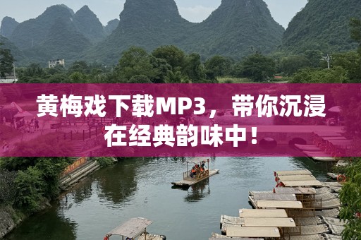 黄梅戏下载MP3，带你沉浸在经典韵味中！
