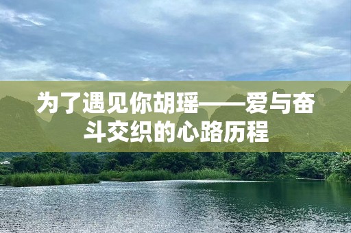 为了遇见你胡瑶——爱与奋斗交织的心路历程
