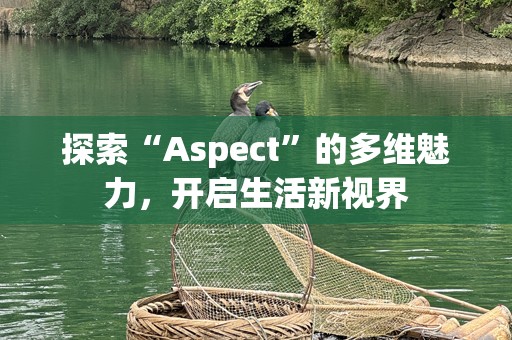 探索“Aspect”的多维魅力，开启生活新视界