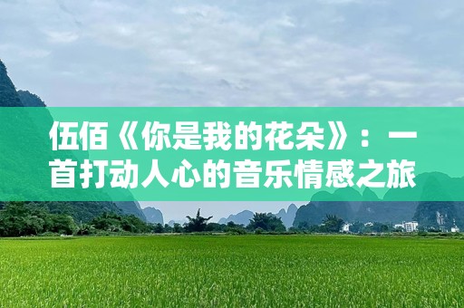 伍佰《你是我的花朵》：一首打动人心的音乐情感之旅