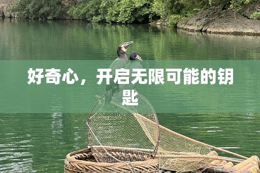 好奇心，开启无限可能的钥匙