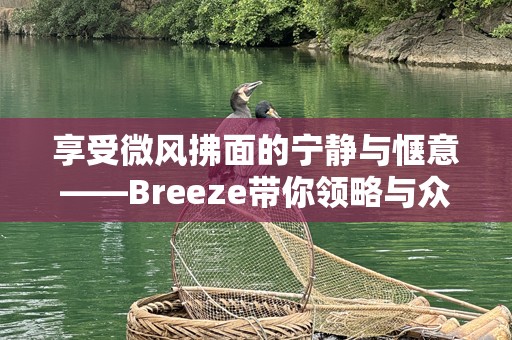 享受微风拂面的宁静与惬意——Breeze带你领略与众不同的生活方式