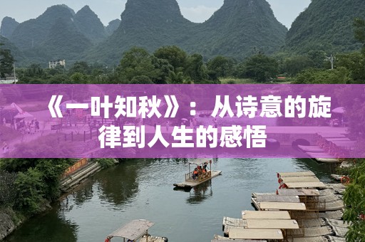 《一叶知秋》：从诗意的旋律到人生的感悟