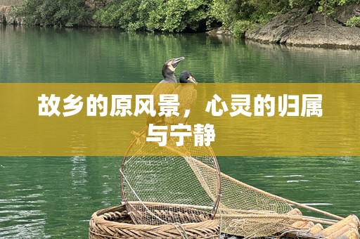故乡的原风景，心灵的归属与宁静