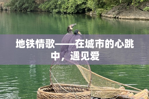 地铁情歌——在城市的心跳中，遇见爱