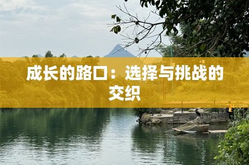 成长的路口：选择与挑战的交织