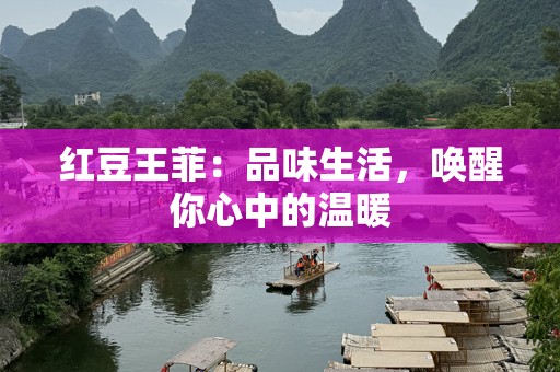 红豆王菲：品味生活，唤醒你心中的温暖
