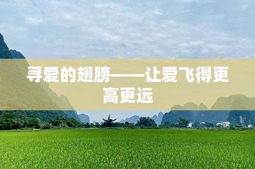 寻爱的翅膀——让爱飞得更高更远