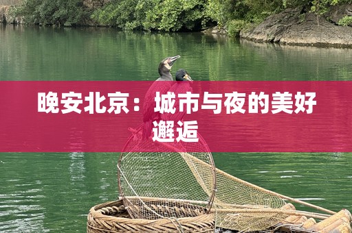 晚安北京：城市与夜的美好邂逅