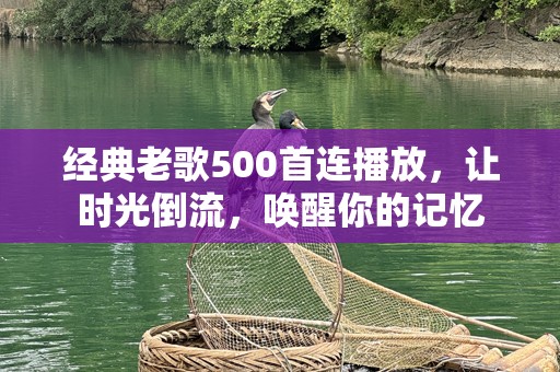 经典老歌500首连播放，让时光倒流，唤醒你的记忆