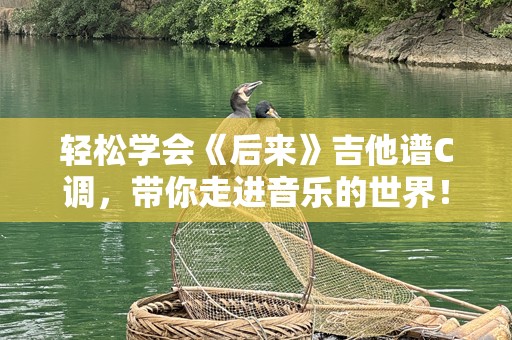 轻松学会《后来》吉他谱C调，带你走进音乐的世界！
