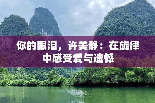 你的眼泪，许美静：在旋律中感受爱与遗憾