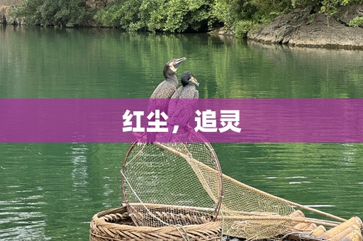 红尘，追灵