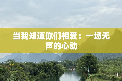 当我知道你们相爱：一场无声的心动