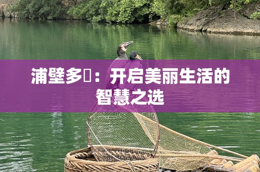 浦壁多恵：开启美丽生活的智慧之选