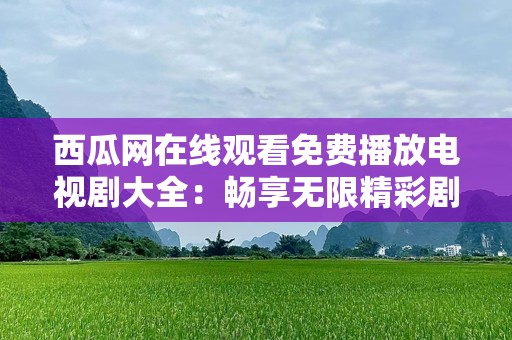 西瓜网在线观看免费播放电视剧大全：畅享无限精彩剧集