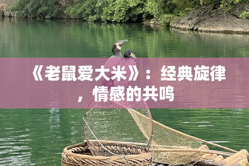 《老鼠爱大米》：经典旋律，情感的共鸣