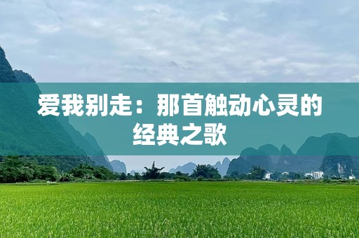 爱我别走：那首触动心灵的经典之歌