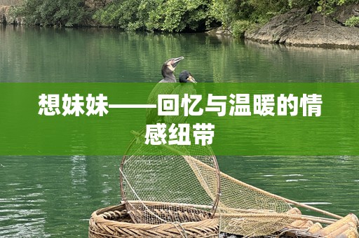 想妹妹——回忆与温暖的情感纽带