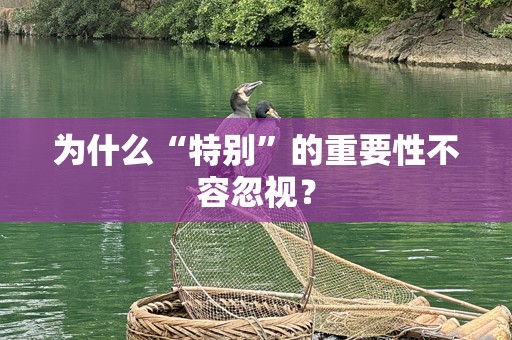 为什么“特别”的重要性不容忽视？