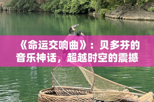 《命运交响曲》：贝多芬的音乐神话，超越时空的震撼