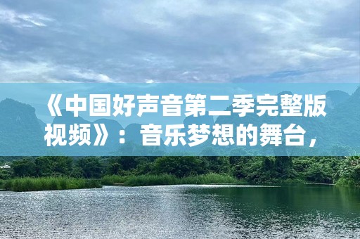 《中国好声音第二季完整版视频》：音乐梦想的舞台，点燃青春的***