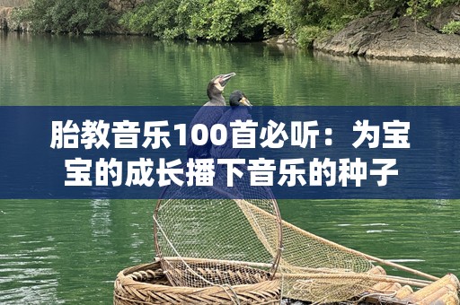 胎教音乐100首必听：为宝宝的成长播下音乐的种子