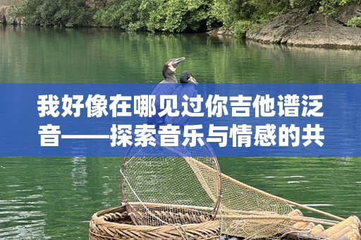 我好像在哪见过你吉他谱泛音——探索音乐与情感的共鸣