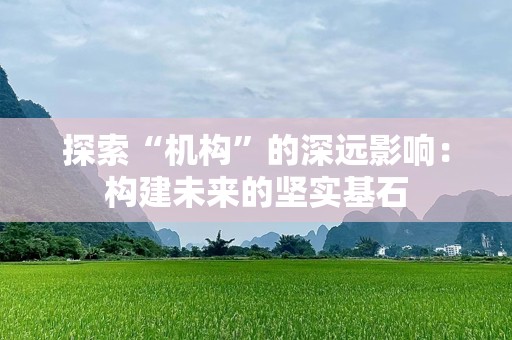 探索“机构”的深远影响：构建未来的坚实基石