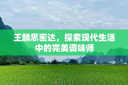 王麟思密达，探索现代生活中的完美调味师