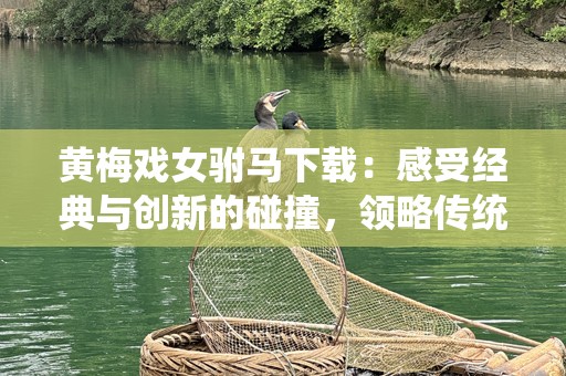黄梅戏女驸马下载：感受经典与创新的碰撞，领略传统文化的魅力