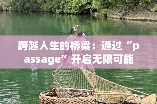 跨越人生的桥梁：通过“passage”开启无限可能