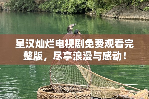 星汉灿烂电视剧免费观看完整版，尽享浪漫与感动！