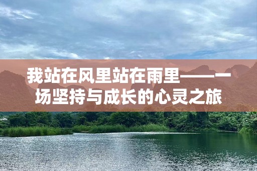我站在风里站在雨里——一场坚持与成长的心灵之旅
