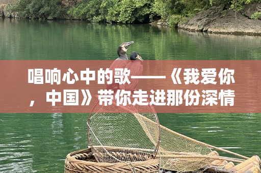 唱响心中的歌——《我爱你，中国》带你走进那份深情的怀抱
