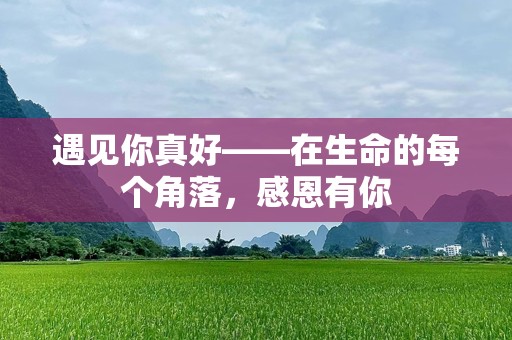 遇见你真好——在生命的每个角落，感恩有你