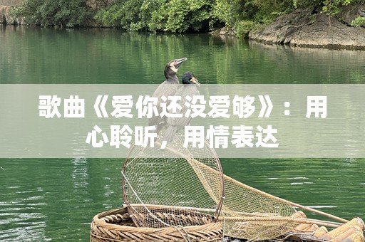 歌曲《爱你还没爱够》：用心聆听，用情表达