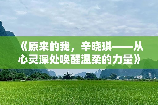 《原来的我，辛晓琪——从心灵深处唤醒温柔的力量》