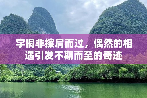 宇桐非擦肩而过，偶然的相遇引发不期而至的奇迹